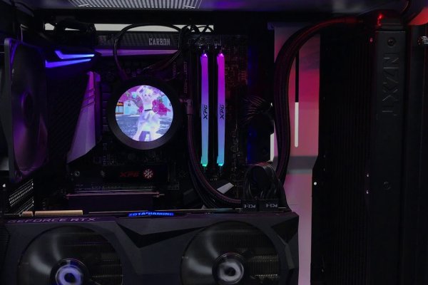 Kraken kraken link24 info