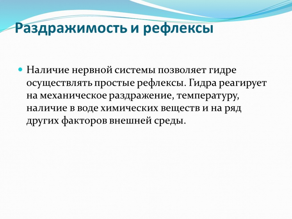 Что за кракен маркет