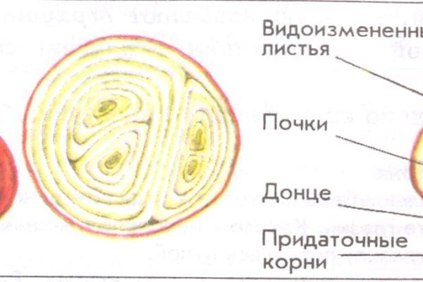 Ссылка на кракен в тор браузере kr2web in